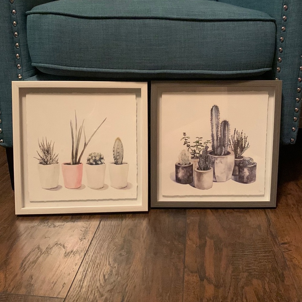 Two succulent pictures wall hanging home decor